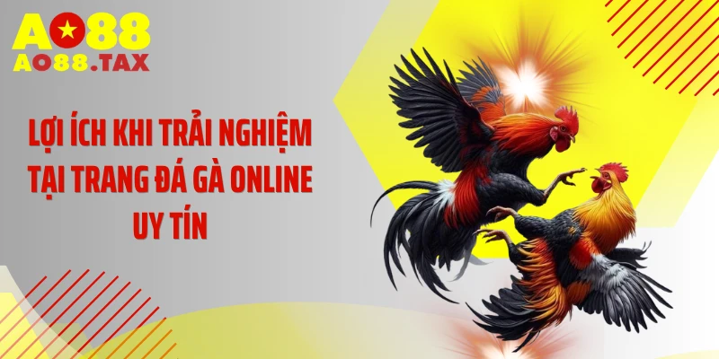 Săn Lùng Sân Chơi Đá Gà Online Uy Tín Đẳng Cấp Nhất 2026 2 Lợi ích khi trải nghiệm tại trang đá gà online uy tín