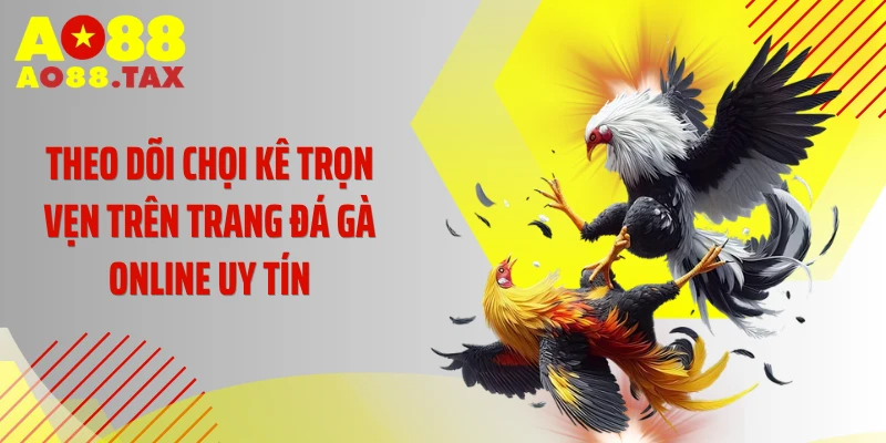 Săn Lùng Sân Chơi Đá Gà Online Uy Tín Đẳng Cấp Nhất 2026 5 Theo dõi chọi kê trọn vẹn trên trang đá gà online uy tín