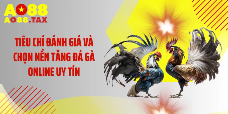 Săn Lùng Sân Chơi Đá Gà Online Uy Tín Đẳng Cấp Nhất 2026 3 Tiêu chí đánh giá và chọn nền tảng đá gà online uy tín