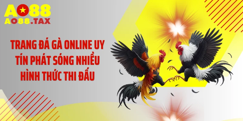 Săn Lùng Sân Chơi Đá Gà Online Uy Tín Đẳng Cấp Nhất 2026 4 Trang đá gà online uy tín phát sóng nhiều hình thức thi đấu